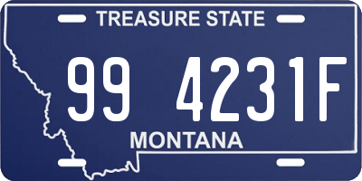 MT license plate 994231F