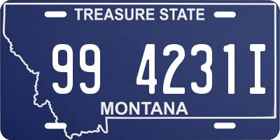 MT license plate 994231I