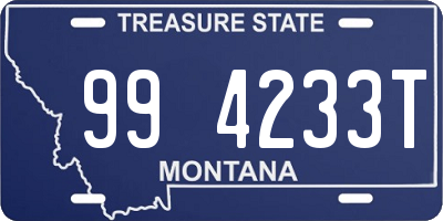 MT license plate 994233T