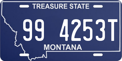 MT license plate 994253T