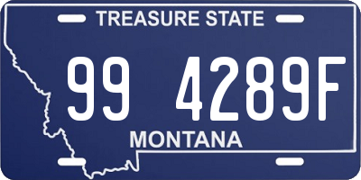 MT license plate 994289F