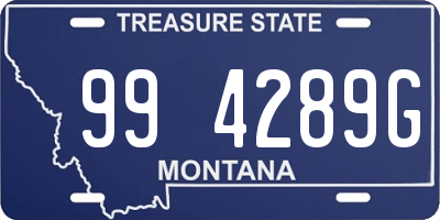 MT license plate 994289G