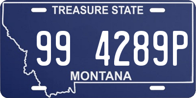 MT license plate 994289P