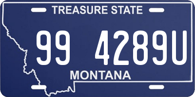 MT license plate 994289U