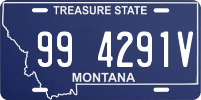 MT license plate 994291V