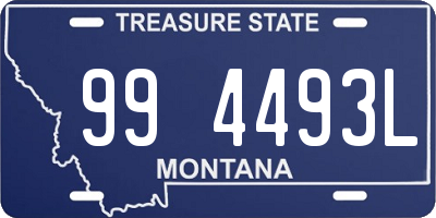 MT license plate 994493L