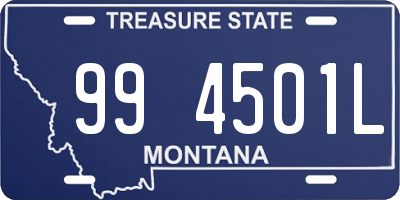 MT license plate 994501L