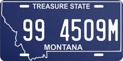 MT license plate 994509M