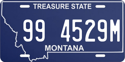 MT license plate 994529M