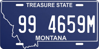 MT license plate 994659M