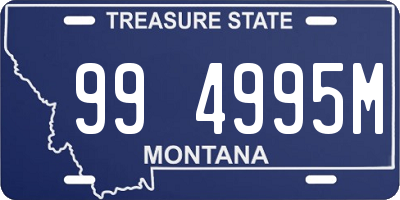 MT license plate 994995M