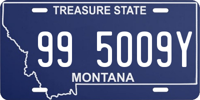 MT license plate 995009Y