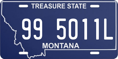 MT license plate 995011L