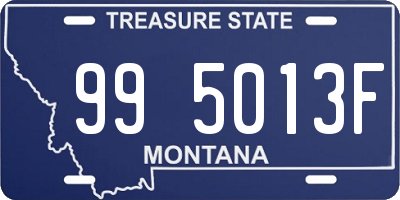 MT license plate 995013F
