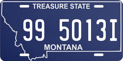MT license plate 995013I