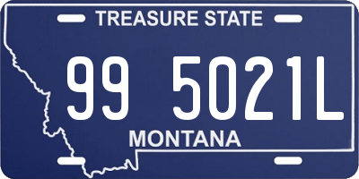 MT license plate 995021L