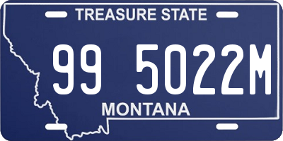 MT license plate 995022M