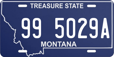MT license plate 995029A