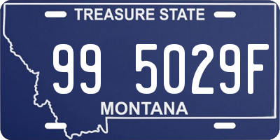 MT license plate 995029F