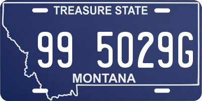 MT license plate 995029G