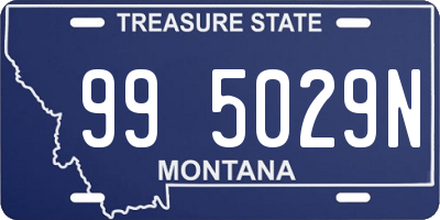 MT license plate 995029N