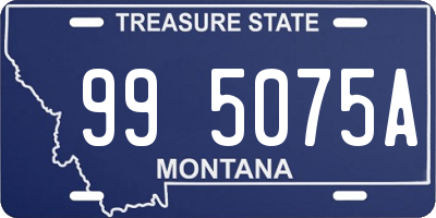 MT license plate 995075A