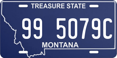MT license plate 995079C