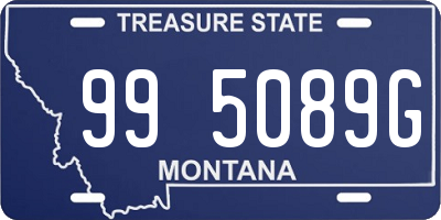 MT license plate 995089G