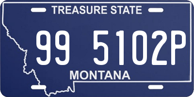 MT license plate 995102P