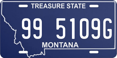 MT license plate 995109G