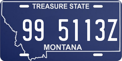 MT license plate 995113Z