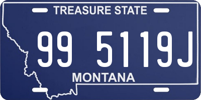 MT license plate 995119J