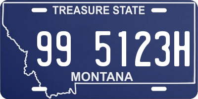 MT license plate 995123H