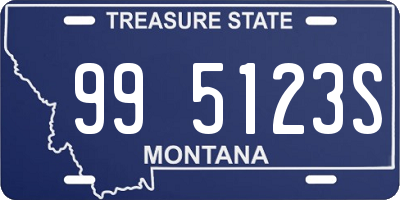 MT license plate 995123S