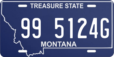 MT license plate 995124G