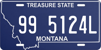 MT license plate 995124L