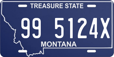 MT license plate 995124X