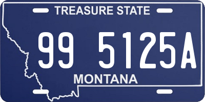 MT license plate 995125A