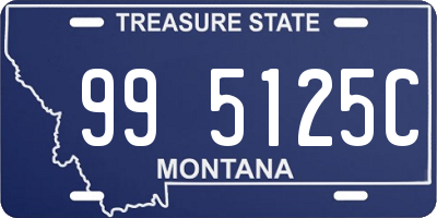 MT license plate 995125C