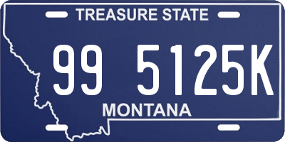 MT license plate 995125K