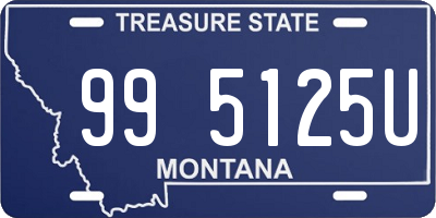 MT license plate 995125U