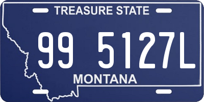 MT license plate 995127L