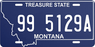 MT license plate 995129A