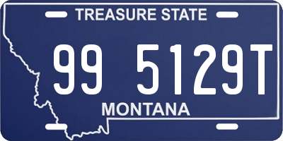 MT license plate 995129T