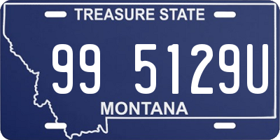 MT license plate 995129U