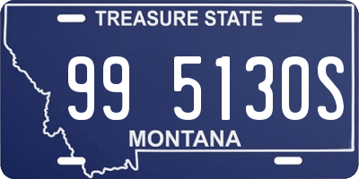 MT license plate 995130S