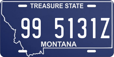 MT license plate 995131Z