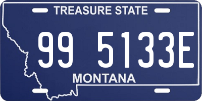 MT license plate 995133E