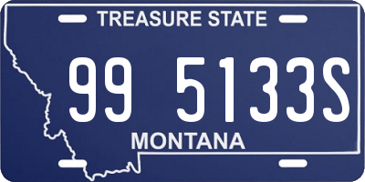 MT license plate 995133S