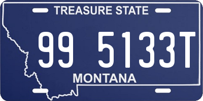 MT license plate 995133T